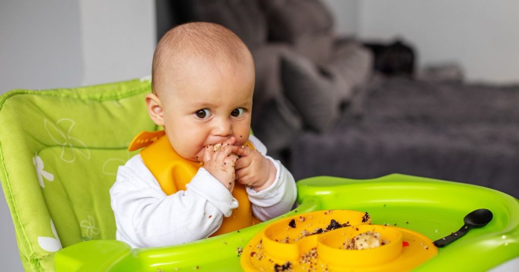 baby led weaning foods 