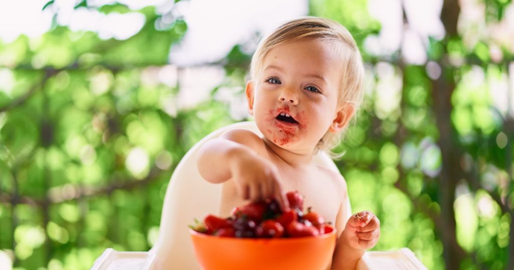 baby led weaning foods 