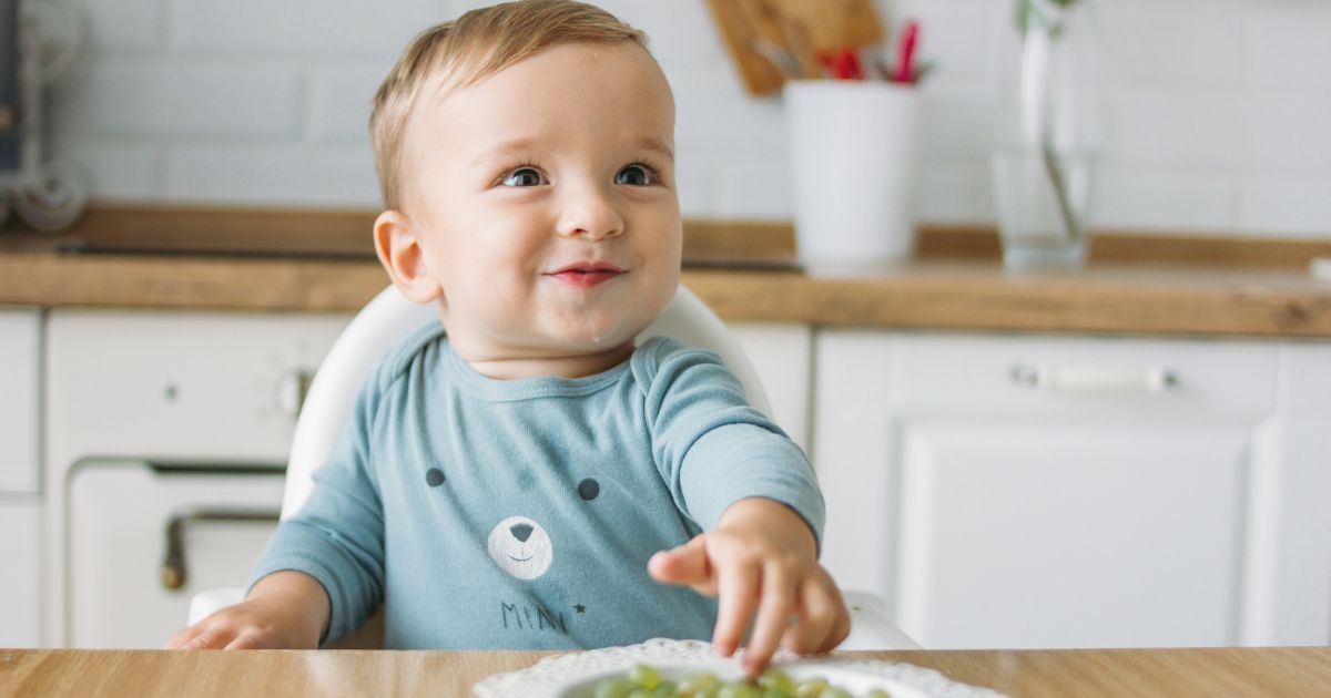baby led weaning foods
