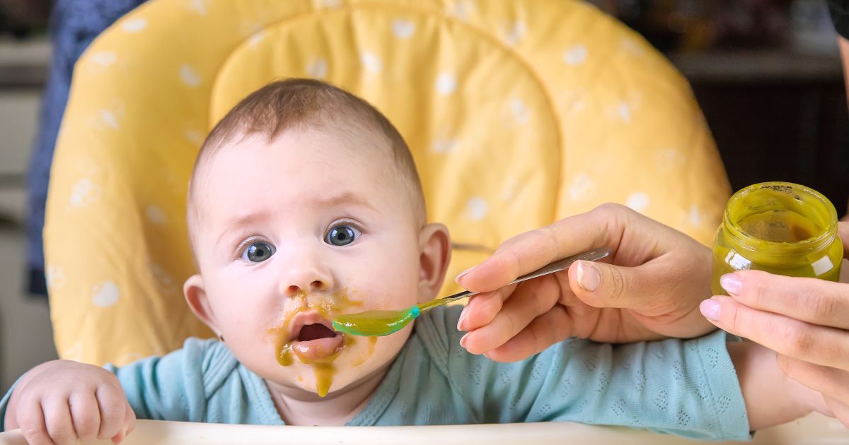 earth's best baby food